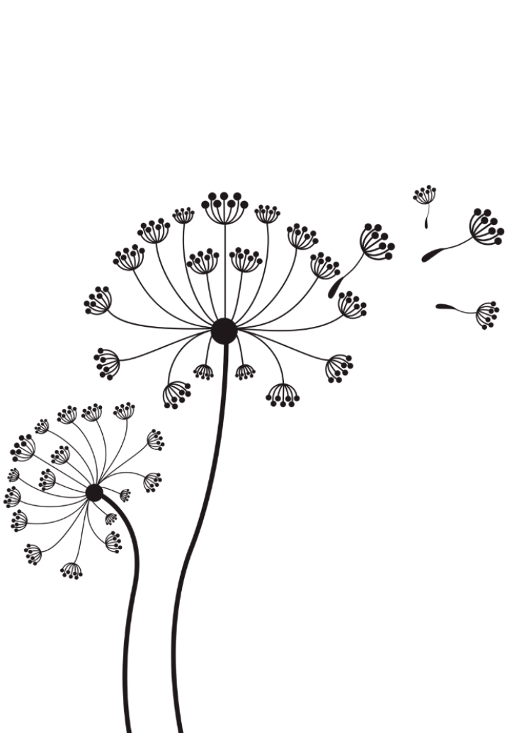 web assets (4)